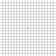 Amsler grid eye test for detecting macular problems