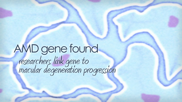 Macular degeneration gene